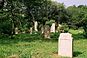 Baligród jewish cemetery.jpg