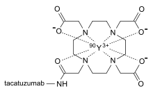 Y-90 tacatuzumab tetraxetan structure.svg