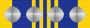 DLSM with Rosette x 4.png