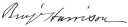 Cursive signature in ink
