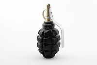 F1 grenade travmatik com 01 by-sa.jpg