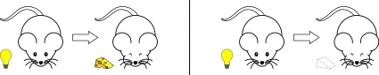 Forward Conditioning.svg