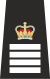 CheshireSCSupt.svg