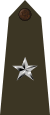 Brigadier general