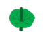 Leaf morphology attachment connate-perfoliate.png