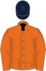 Orange, orange sleeves, dark blue cap