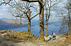 Surprise View, above Derwent Water - geograph.org.uk - 1872453.jpg