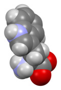 Tryptophan-from-xtal-3D-sf.png