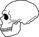 Neanderthalensis Skull.png