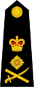 British Royal Marines OF-9.svg