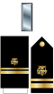 US PHS O2 insignia.svg