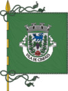 Flag of Cinfães