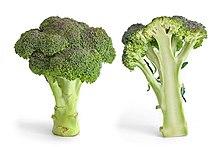 Broccoli and cross section edit.jpg
