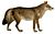 Dogs, jackals, wolves, and foxes (Plate I).jpg
