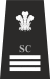 Gwent SCInsp.svg