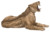 Machairodus from Cerro de Batallones.png