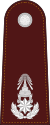 RTP OF-6 (Police Brigadier).svg