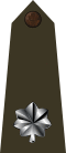US Army O5 (Army greens).svg
