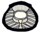 SAF Basic Diving Badge