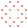 24-cell t1 B2.svg