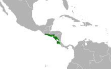 Megascops cooperi map.svg