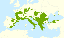 Sorbus domestica range.svg