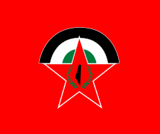 DFLP Party logo and flag