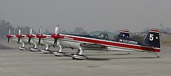 Halcones fidae 2006 1.jpg