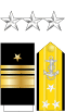 US Navy O9 insignia.svg