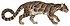 Studienblatt Felis macroscelis Nebelparder (white background).jpg