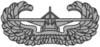 GliderInfantryBadge.gif