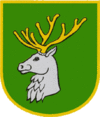 Coat of arms of Rakhiv