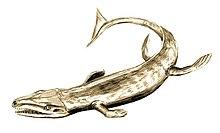 Aggiosaurus.jpg