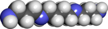 Spacefill model of spermine