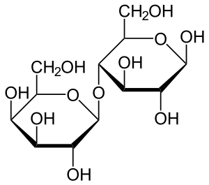 Lactose Haworth.svg