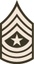 Army-USA-OR-09c (Army greens).svg