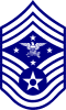 USAF SEAC.svg