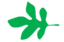 Leaf morphology lobed.png