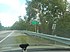 NB FL 33 over the Withlacoochee River.jpg