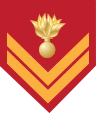 Insignia of a Hellenic army sergeant belonging to the infantry, who is a long-term volunteer or a professional hoplite.