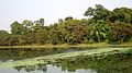 Ramsagar National Park.jpeg
