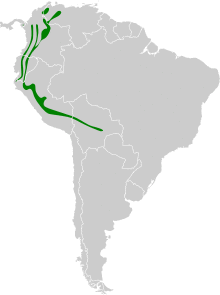 Pharomachrus auriceps map.svg