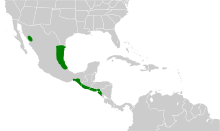 Psittacara holochlorus map.svg