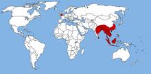 Range of Muntjac species, including ones introduced into Wales and England.png
