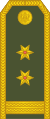 14-Montenegro Army-LTC.svg