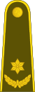 16-Lithuania Army-MAJ.svg