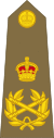 Field Marshal