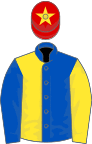 Royal blue and yellow halved, sleeves reversed, red cap, yellow star