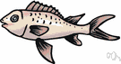 family Cyprinidae - a family of fish including: carp