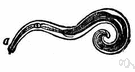 threadworm - small threadlike worm infesting human intestines and rectum especially in children